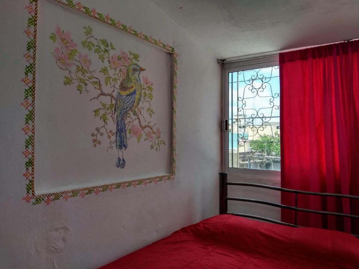 Апартаменти Casa Mestiza Меріда Екстер'єр фото